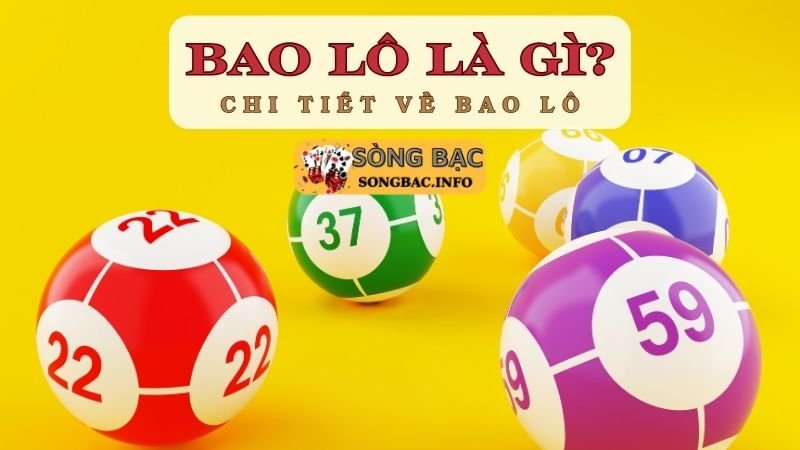 Bao lô là gì?