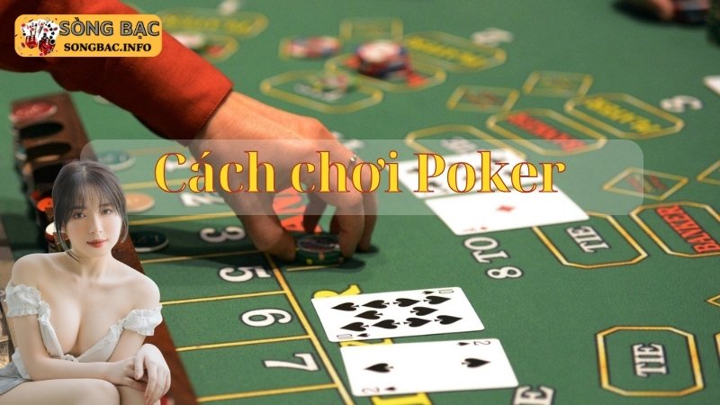 Giới thiệu về poker