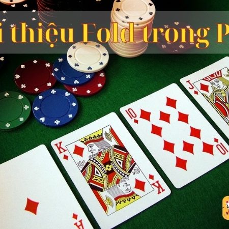 Fold trong poker là gì? Cách sử dụng và các trường hợp nên fold