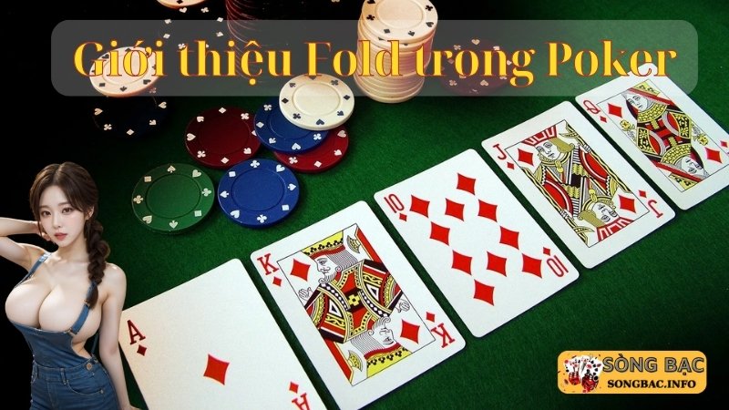 Giới thiệu về fold trong poker