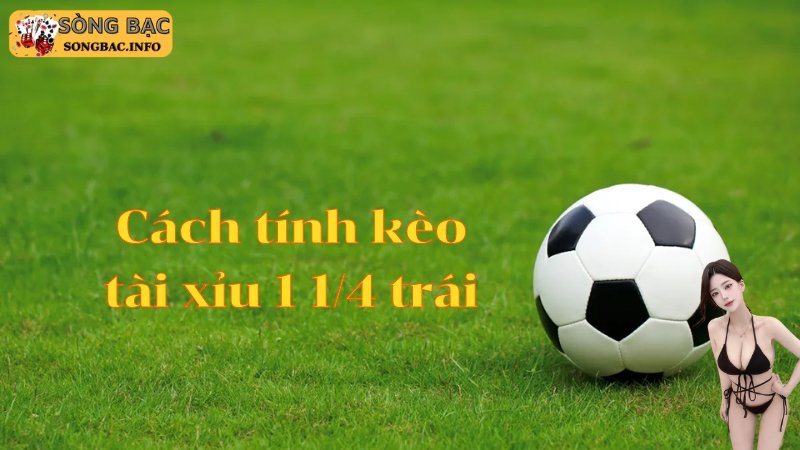 kèo chấp 1 1/4 trong bóng đá