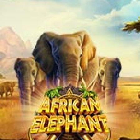 Voi Rừng Châu Phi – African Elephant Slot – Trải Nghiệm Game Slot Huyền Thoại và Cách Chơi Chiến Thắng