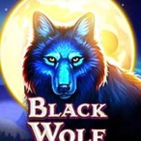 Black Wolf Slot: Lịch Sử, Phiên Bản Mới và Cách Thức Chơi Để Thắng Lớn