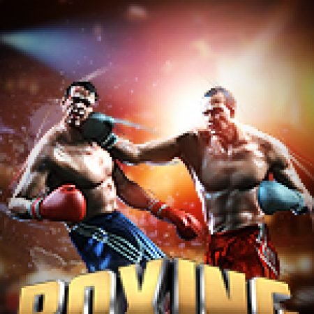 Boxing Slot: Lịch Sử, Phiên Bản Mới và Cách Thức Chơi Để Thắng Lớn