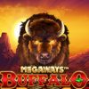 Buffalo Rising Megaways Slot – Trải Nghiệm Game Slot Huyền Thoại và Cách Chơi Chiến Thắng