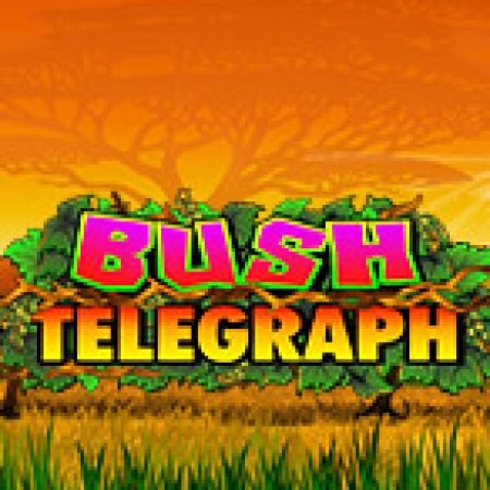 Khám Phá Xứ Nhiệt Đới Bush – Bush Telegraph Slot: Từ Lịch Sử Đến Cách Thức Chơi Đỉnh Cao