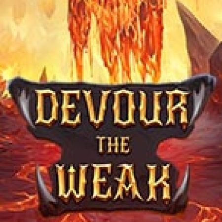 Hướng Dẫn Chơi Devour the Weak Slot: Bí Kíp Đánh Bại Mọi Thử Thách