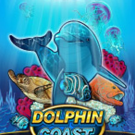 Hướng Dẫn Chơi Kho Báu Cá Heo – Dolphin Coast Slot: Bí Kíp Đánh Bại Mọi Thử Thách