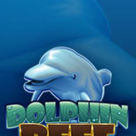 Dolphin Reef Slot – Trải Nghiệm Game Slot Huyền Thoại và Cách Chơi Chiến Thắng