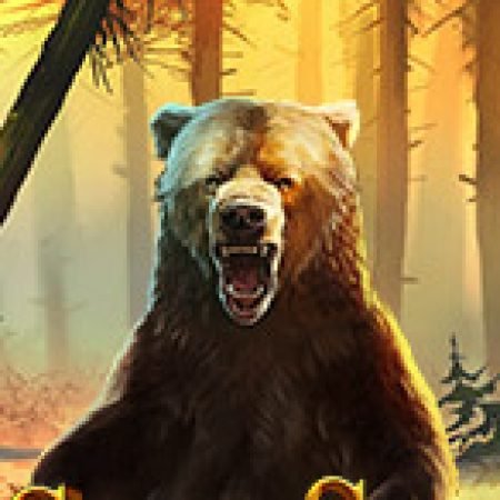 Khám Phá Grizzly Gold Slot: Từ Lịch Sử Đến Cách Thức Chơi Đỉnh Cao