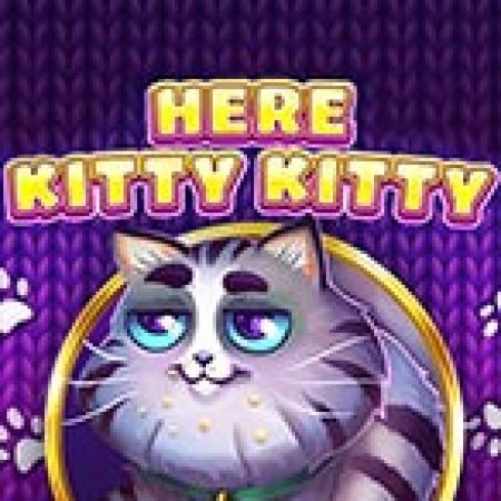 Mèo Con Ngỗ Ngược – Here Kitty Kitty Slot: Lịch Sử, Phiên Bản Mới và Cách Thức Chơi Để Thắng Lớn