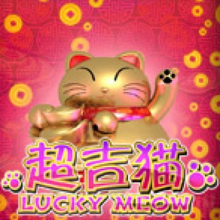 Hướng Dẫn Chơi Lucky Meow Slot: Bí Kíp Đánh Bại Mọi Thử Thách