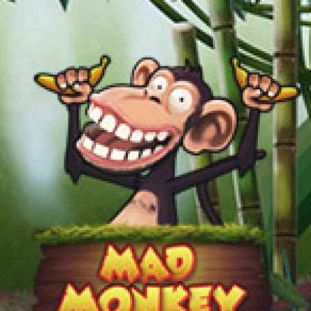 Mad Monkey Slot: Lịch Sử, Phiên Bản Mới và Cách Thức Chơi Để Thắng Lớn