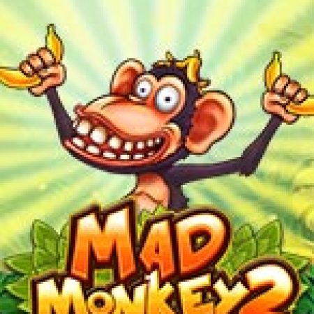 Mad Monkey 2 Slot: Lịch Sử, Phiên Bản Mới và Cách Thức Chơi Để Thắng Lớn