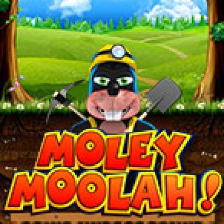 Chơi Moley Moolah Slot Online: Tips, Chiến Lược và Hướng Dẫn Chi Tiết