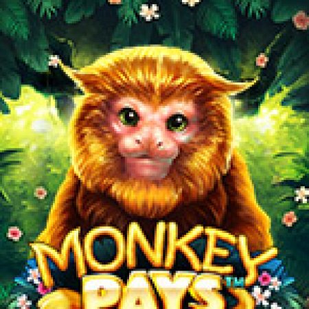 Khám Phá Monkey Pays Slot: Từ Lịch Sử Đến Cách Thức Chơi Đỉnh Cao