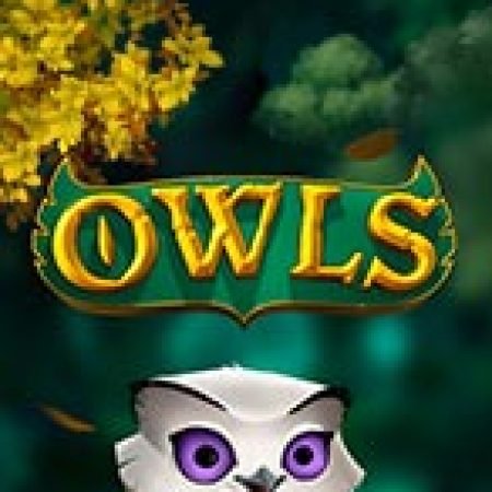 Cú Đêm – Owls Slot: Lịch Sử, Phiên Bản Mới và Cách Thức Chơi Để Thắng Lớn