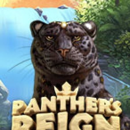 Hướng Dẫn Chơi Panther’s Reign Slot: Bí Kíp Đánh Bại Mọi Thử Thách