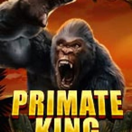 Khám Phá Vua Khỉ – Primate King Slot: Từ Lịch Sử Đến Cách Thức Chơi Đỉnh Cao