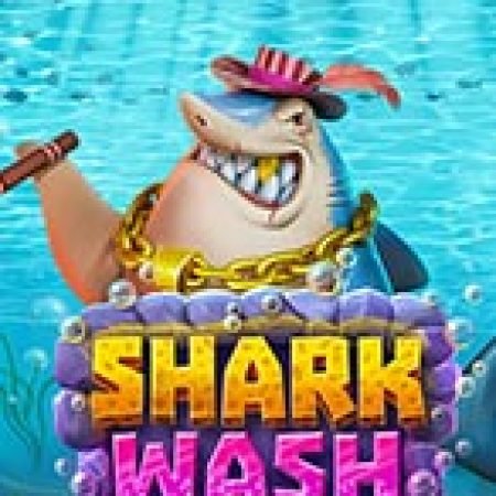 Shark Wash Slot: Lịch Sử, Phiên Bản Mới và Cách Thức Chơi Để Thắng Lớn