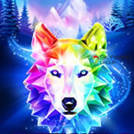 Khám Phá Super Wolf Slot: Từ Lịch Sử Đến Cách Thức Chơi Đỉnh Cao