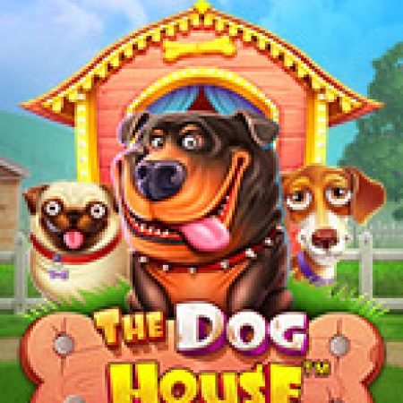 Hướng Dẫn Chơi Thế Giới Cún Cưng – The Dog House Slot: Bí Kíp Đánh Bại Mọi Thử Thách