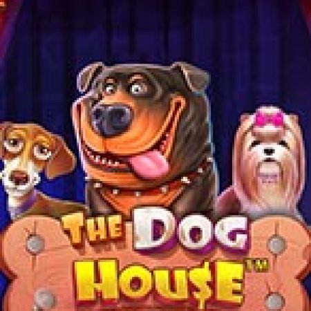 Chơi Xiếc Thú – The Dog House Dice Show Slot Online: Tips, Chiến Lược và Hướng Dẫn Chi Tiết