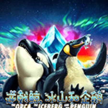 Hướng Dẫn Chơi The Orca, The Iceberg and the Penguin Slot: Bí Kíp Đánh Bại Mọi Thử Thách