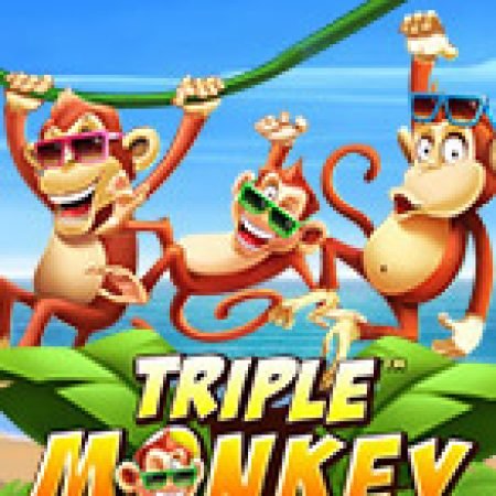 Triple Monkey Slot: Lịch Sử, Phiên Bản Mới và Cách Thức Chơi Để Thắng Lớn