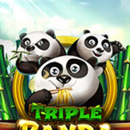 Triple Panda Slot – Trải Nghiệm Game Slot Huyền Thoại và Cách Chơi Chiến Thắng
