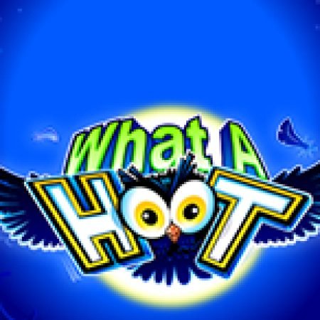 Chơi Đêm Cú Vọ – What A Hoot Slot Online: Tips, Chiến Lược và Hướng Dẫn Chi Tiết