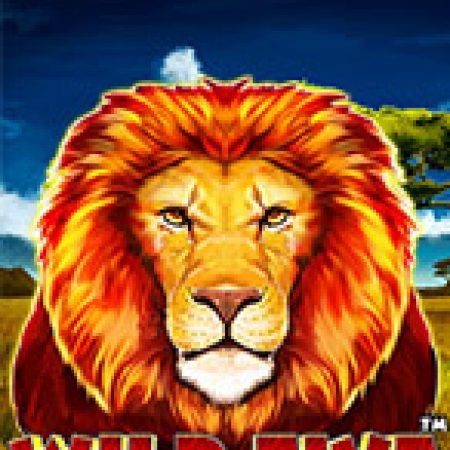 Chơi Wild Five Slot Online: Tips, Chiến Lược và Hướng Dẫn Chi Tiết