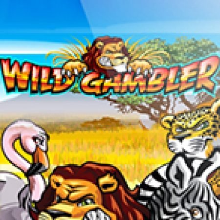 Khám Phá Wild Gambler Slot: Từ Lịch Sử Đến Cách Thức Chơi Đỉnh Cao