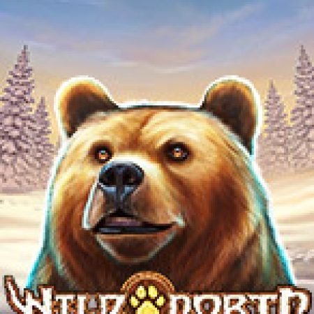 Chơi Phương Bắc Hoang Dã – Wild North Slot Online: Tips, Chiến Lược và Hướng Dẫn Chi Tiết